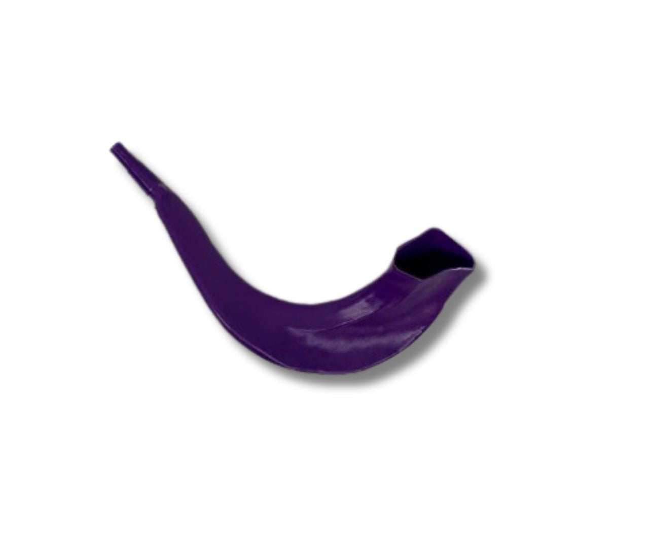 Real Looking Colored Plastic Shofar (SH-SHPLCLR)