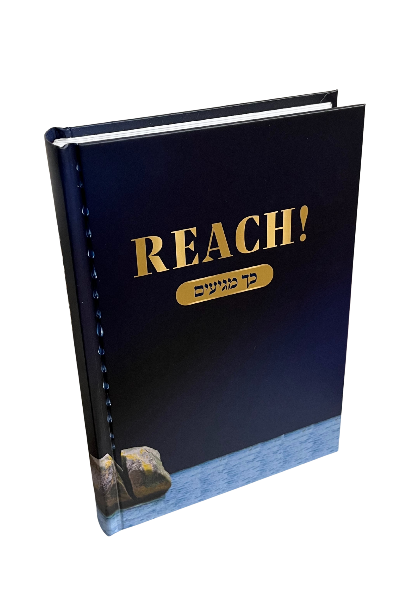 REACH! כך מגיעים H/C- R' Shlomo Meyer (BKE-REACH)