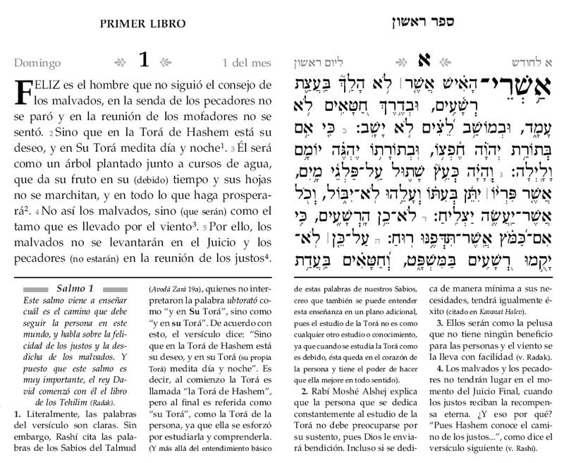 Tehilim Et Ratzon Hebrew/Spanish Large (BKS-TERL)