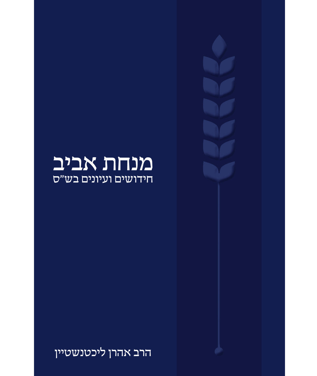 מנחת אביב: חידושים ועיונים בש"ס Minhat Aviv Lichtenstein (BK-MA)