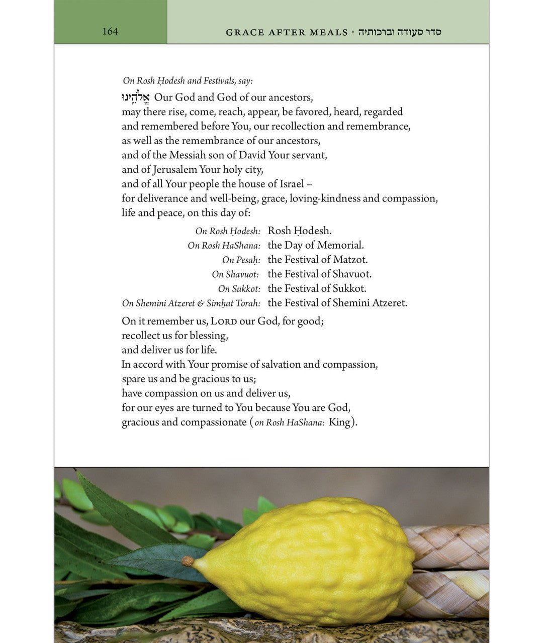 The Koren Birkon Sachs - Zemiros La Sabbath (BK-TKB)