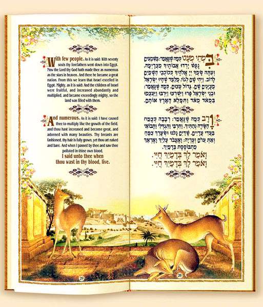 The Spring Haggadah Matan Art Hebrew / ENGLISH (BK-HGAV)