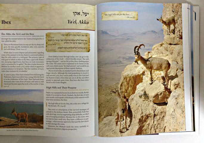 The Torah Encyclopedia of the Animal Kingdom Volume 1- Rabbi Natan Slifkin (BKE-TTEAK)