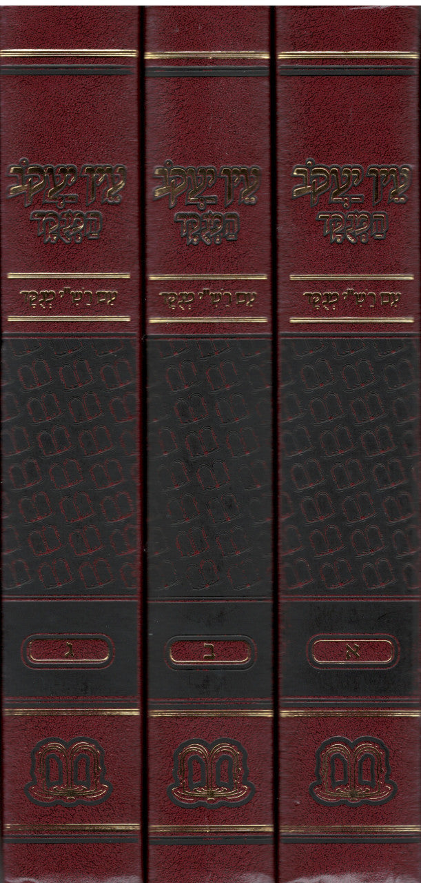 3 VOL עין יעקב מנוקד (BK-AYS)
