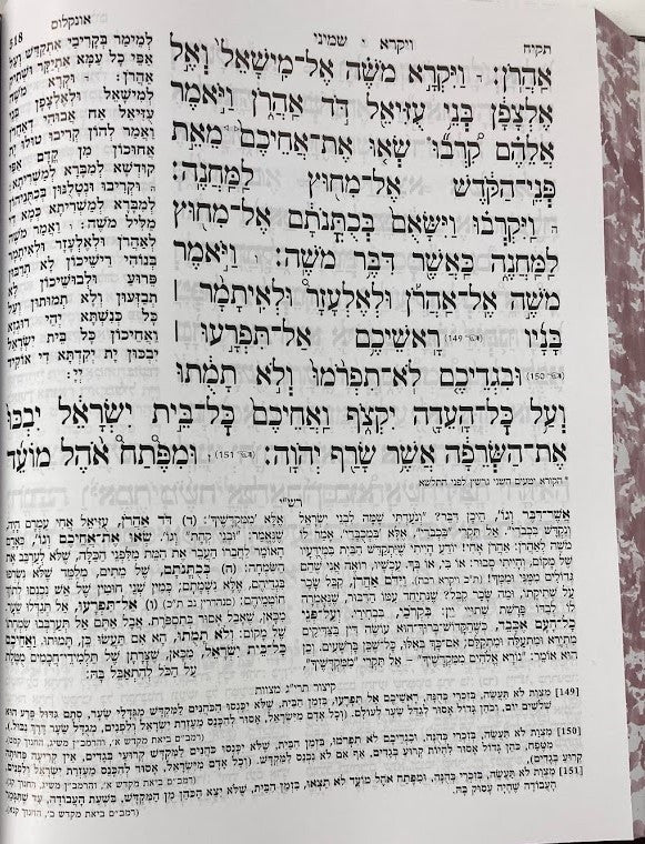8" x 11" חמשה חומשי תורה אור שרגא גדול כרך אחד (BK-CCTOSLG)