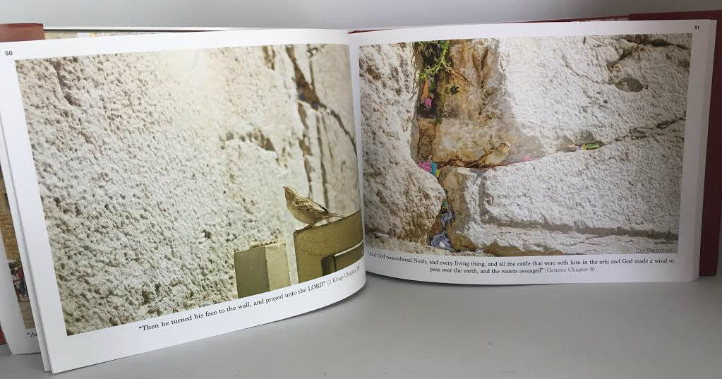 Jerusalem: Nine Measures of Beauty (BKE-JR)