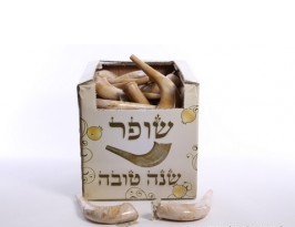 Marbled Round Toy Shofar (SH-PLBRN)