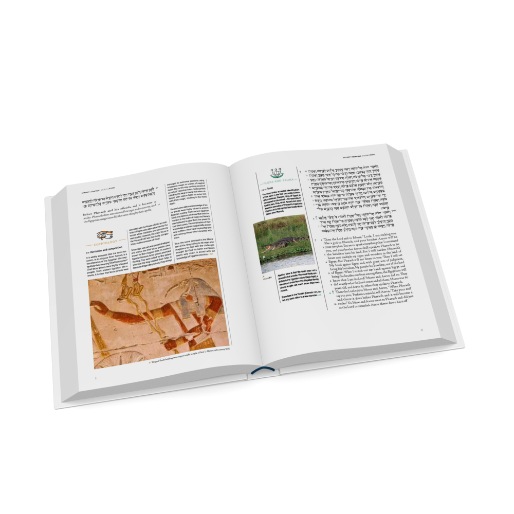 The Koren Tanakh of the Land of Israel - Exodus (BK-KTLOIS)