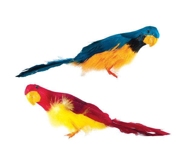 6" Bird - priced as dozen (L100006)