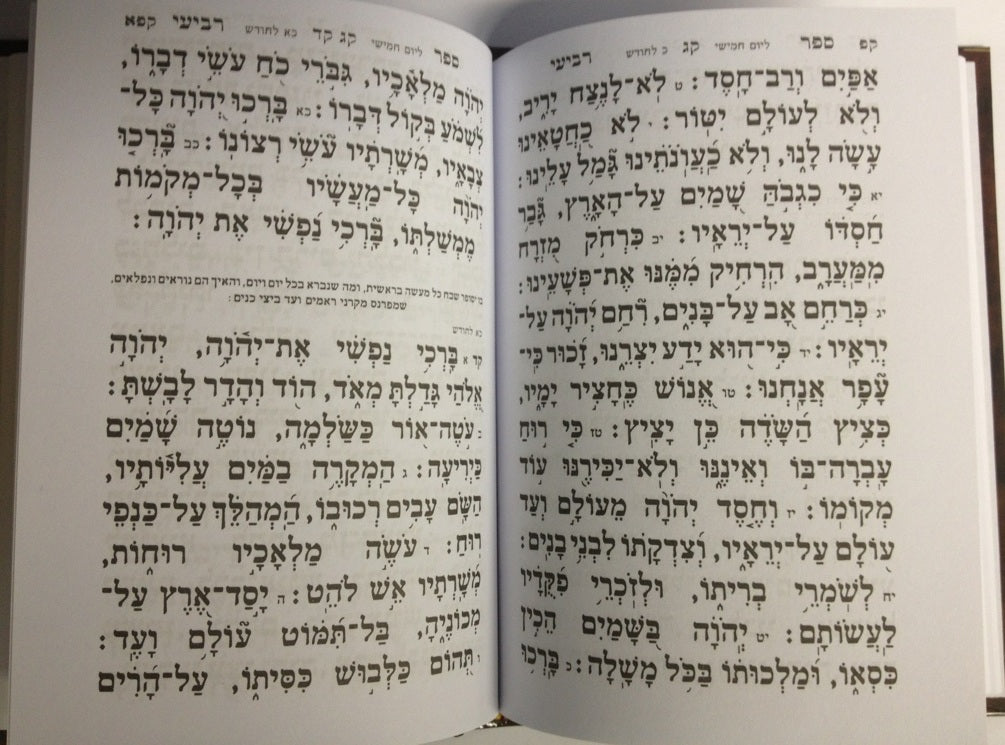 Tehillim Midarkai Dovid Large Hebrew תהלים מדרכי דוד (BK-TMDL)