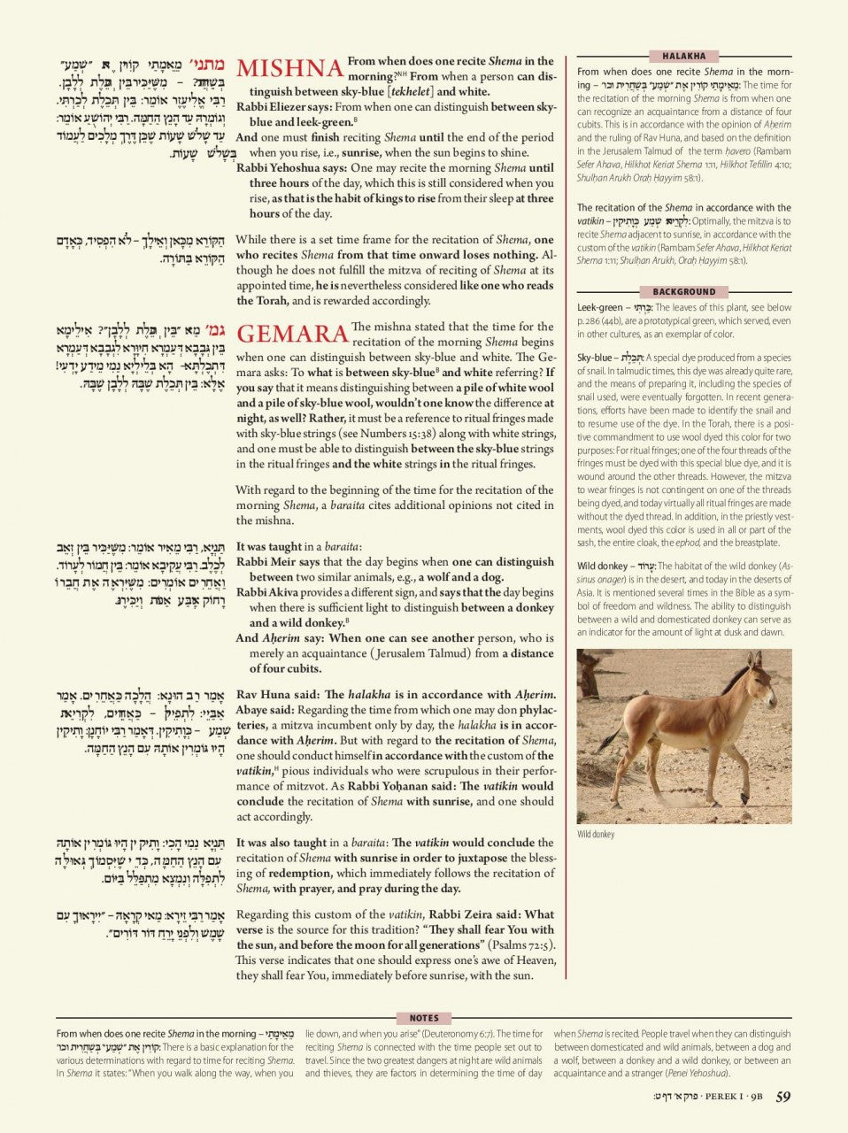 Koren Talmud Bavli Volume #1(Color) Edition Berakhot (BK-KTBC1)