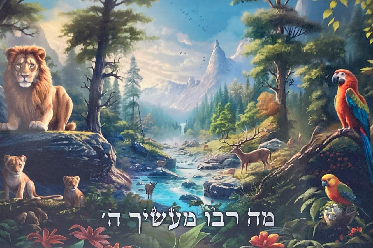 Laminated Poster-Ma Rabu -18"x26" (P1970)