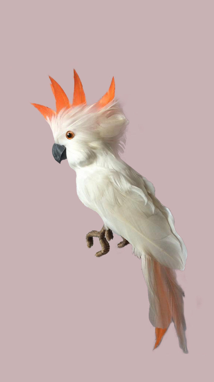12.5" Cockatiel - White (L100110W)
