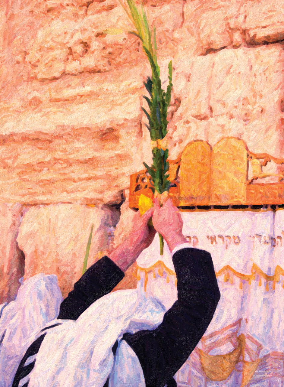 Laminated Poster 19" x 26"--Kotel Lulav-Mann (P1947)