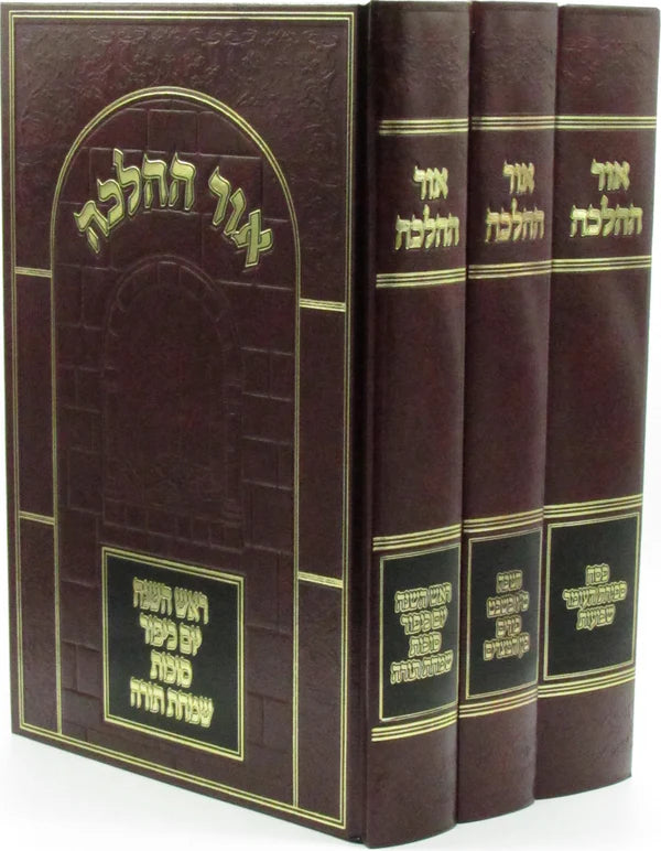 Or Hahalacha Moadim  אור ההלכה על מועדים 3 כרכים ( Rav David Cohen ) (BK-OHHM3V)