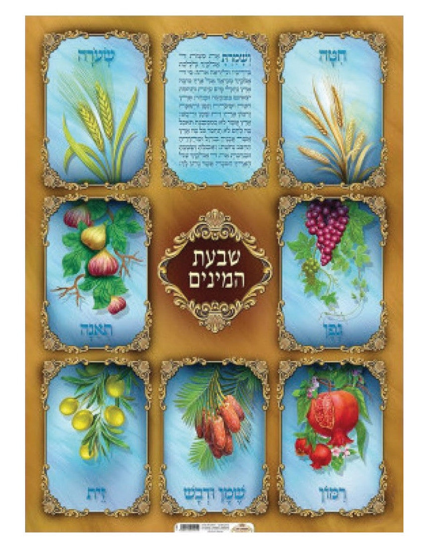 Laminated Poster 20" x 28"-- Shivat Haminim (P1861)