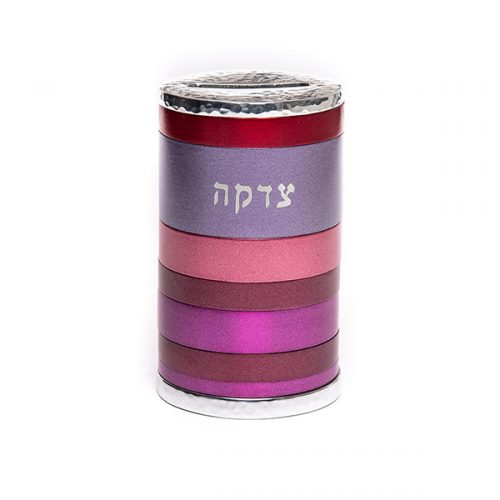 Emanuel Anodized Tzedakah Box Rings (EM-TZK)