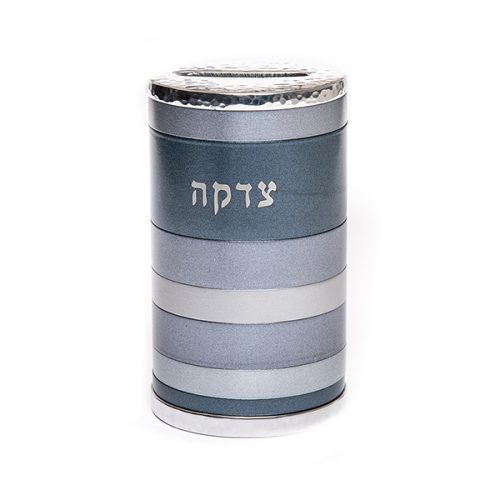 Emanuel Anodized Tzedakah Box Rings (EM-TZK)