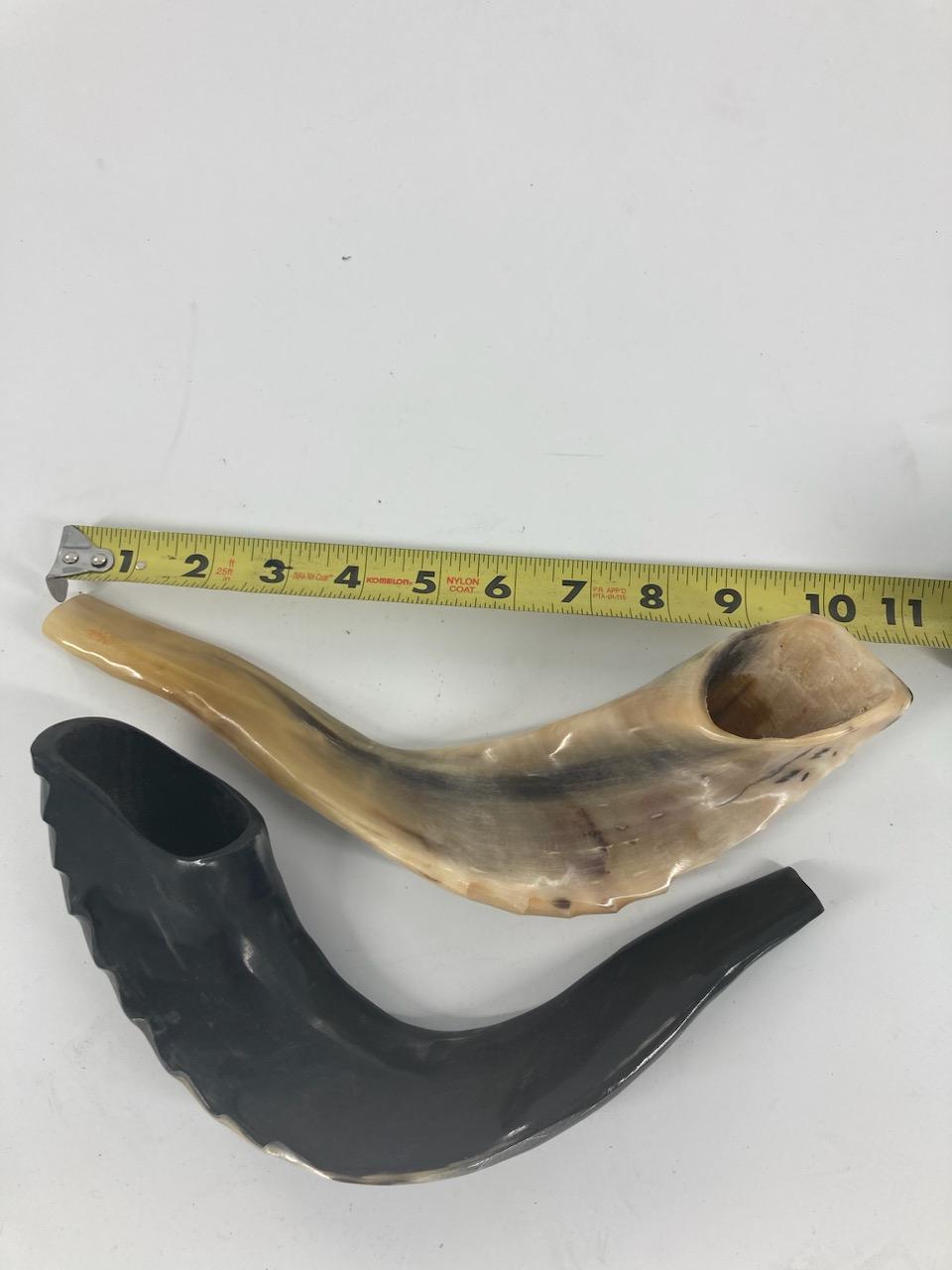 Shofar (Ram Horn) Select Size (SH-SH)