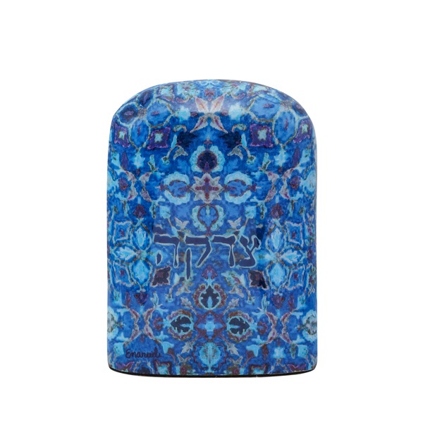 Emanuel Metal Painted Tzedakah Box  (EM-TZL)
