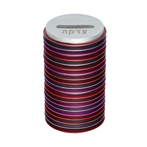 Emanuel Tzedakah Box Discs (EM-TZF)