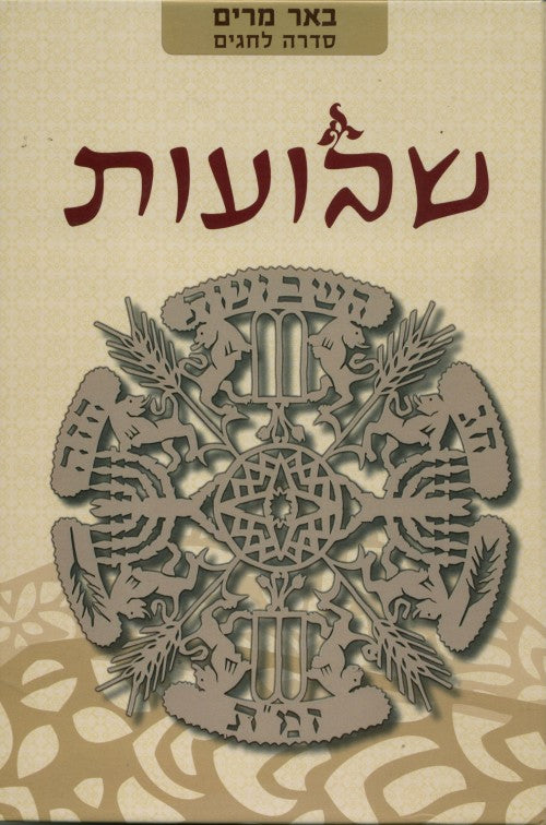 הסדרה לחגים --באר מרים
