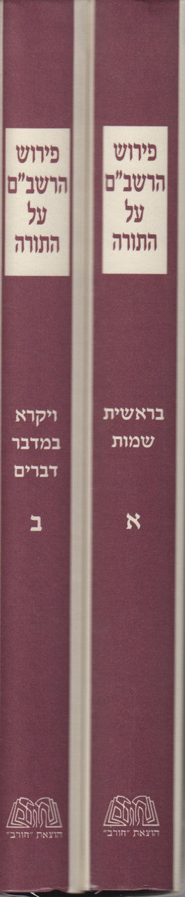 פירוש רשב"ם על התורה 2 כרכים (BK-RSHBM)