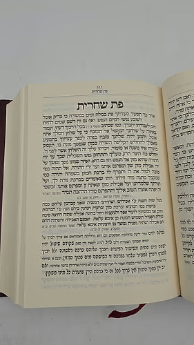 סידור תפילת האר"י כפי קבלת מוהר"ר חיים ויטאל זצ״ל (BK-STA)