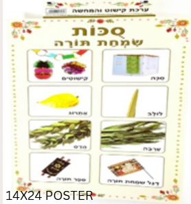 Plastic Sukka Themes Poster-- 14x24 (PL-801726)