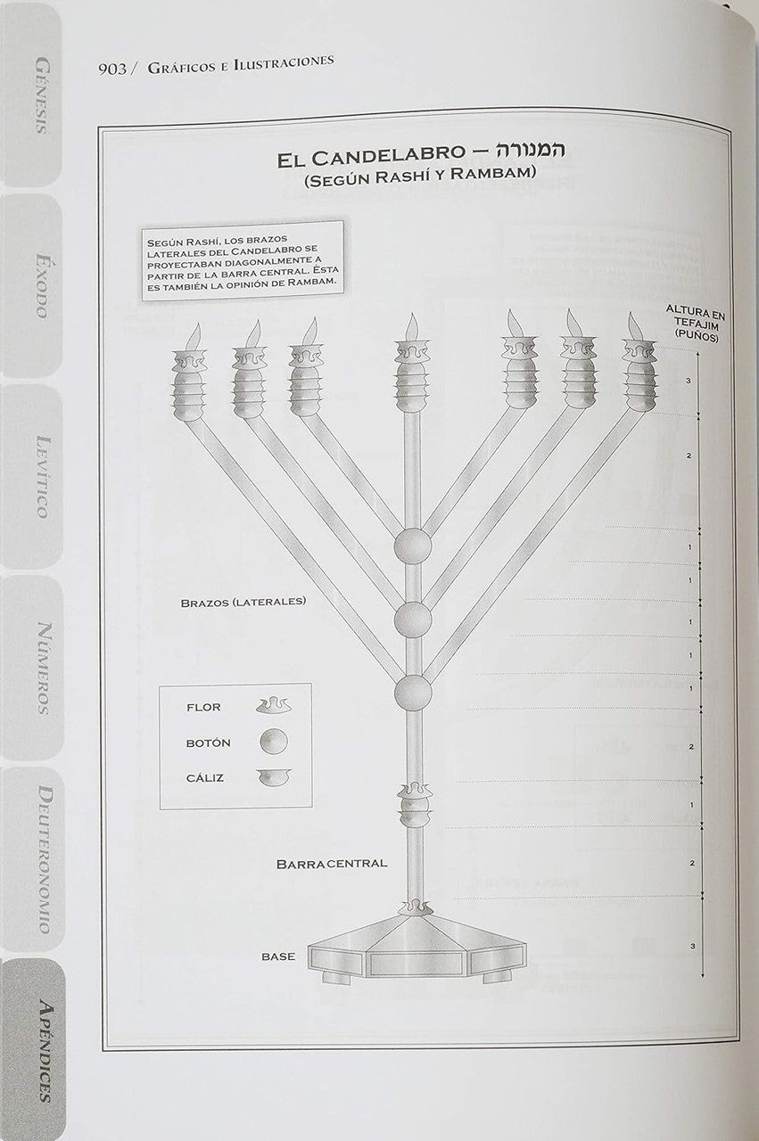 La Biblia El Tanaj 4 Volume Set Spanish Tanach Slipcased Set (BKS-LBETSET)