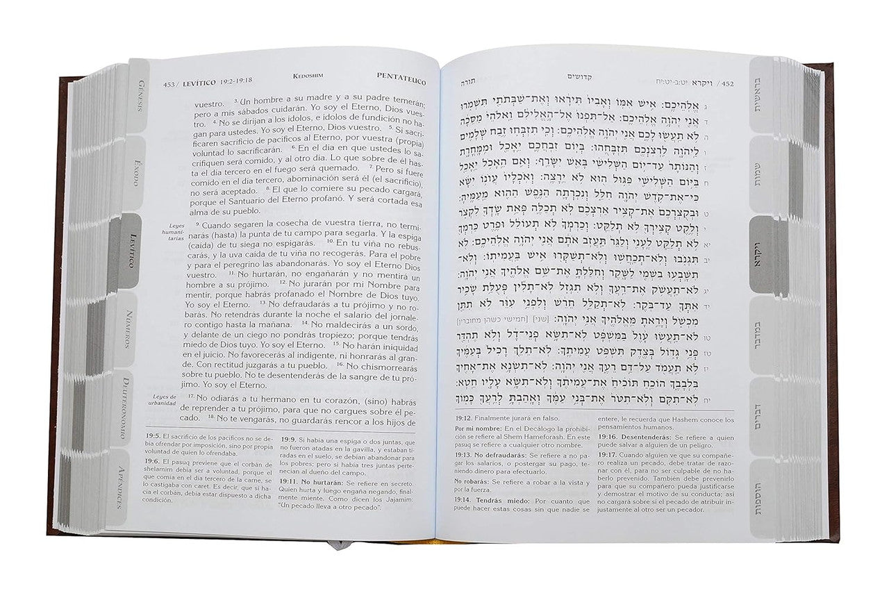 La Biblia El Tanaj 4 Volume Set Spanish Tanach Slipcased Set (BKS-LBETSET)