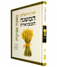 המשנה המבוארת מסכת שביעית  HaMishna HaMivoeret Shvi'it Steinsaltz (BK-MMMS)