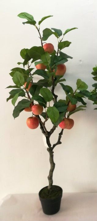 Apple Tree - Big Apples