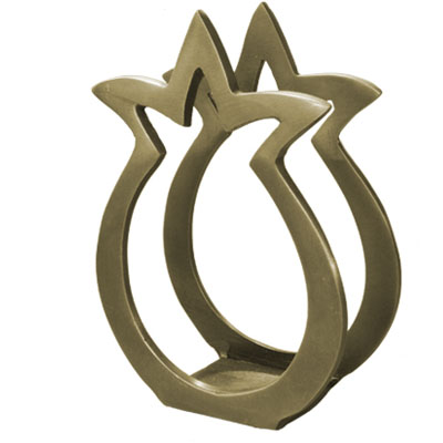 Aluminum Napkin Holder Pomegranate Shape (EM-NHMC-1C)