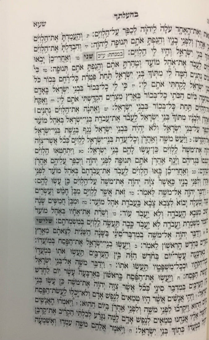 סידור וחומש לשבת נר יצחק-- Shabbat Siddur & Chumash Edot Mizrach (BK-CNYSD)