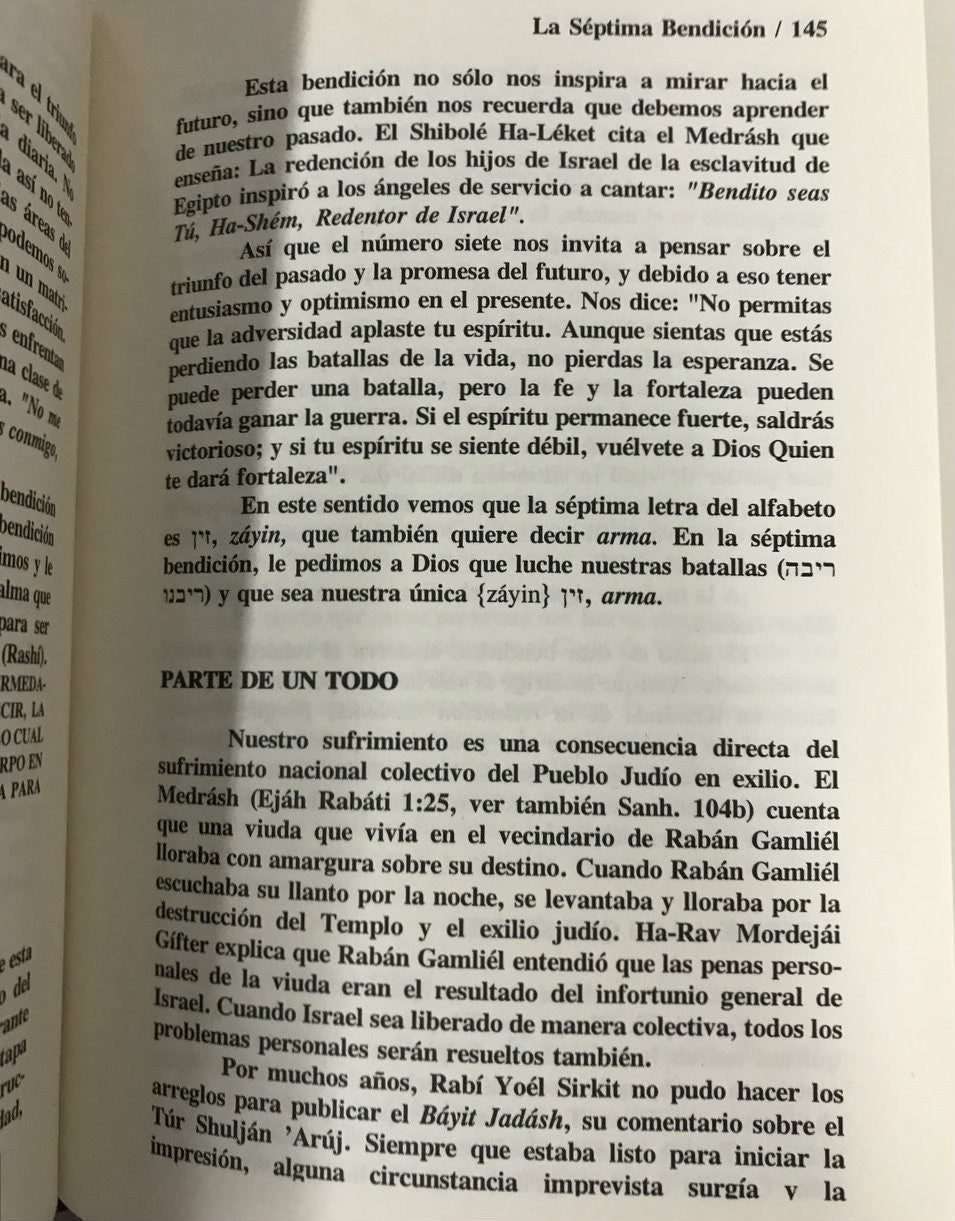 Shemoneh 'Essre, Rabi A. Feuer (BKS-SE)