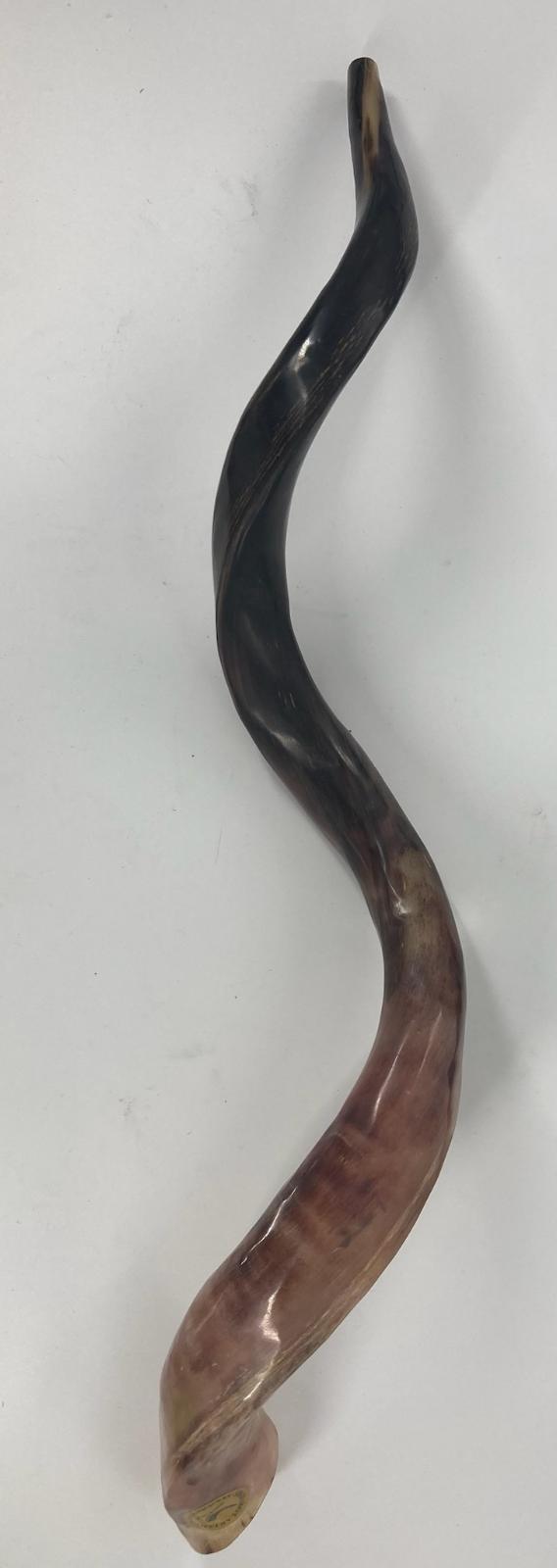 Yemenite Shofar (SH-SHY) Select Size