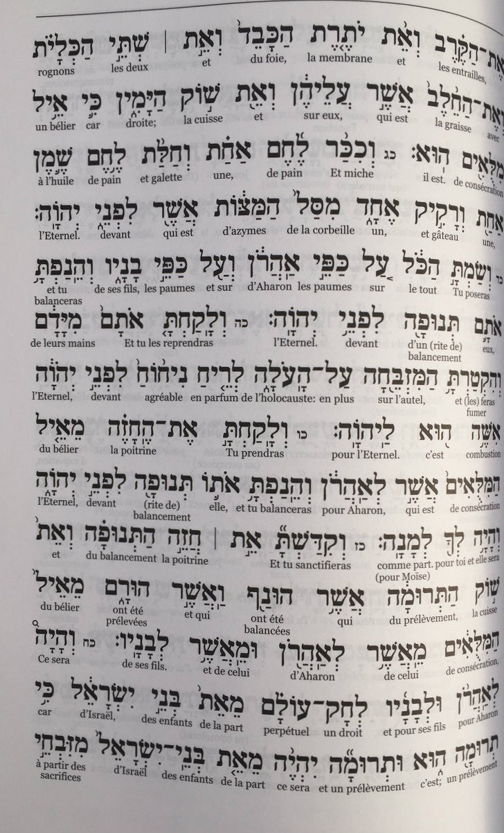 French Jerusalem Chumash, Haftarot & Shabbat Siddur (BKF-LCDJ)
