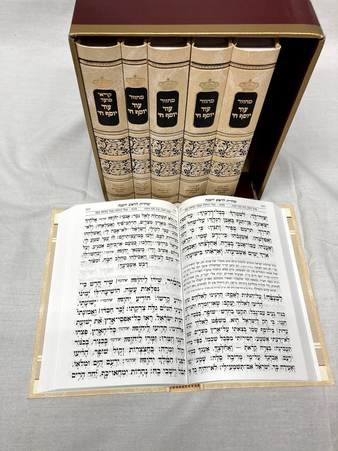 מחזור עוד יוסף חי גדול  Set 6 Volume (BK-MOYCLG)