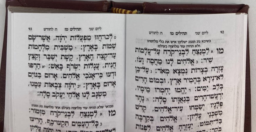 Mini Hardcover P/U Tehillim 2.5" x 2" (BK-THLMINI)