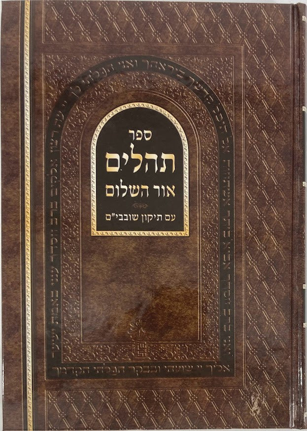 Tehillim Or Hashalom Hebrew תהילים אור השלום Large Letters 7"x9.5" (BK-THOHLG)