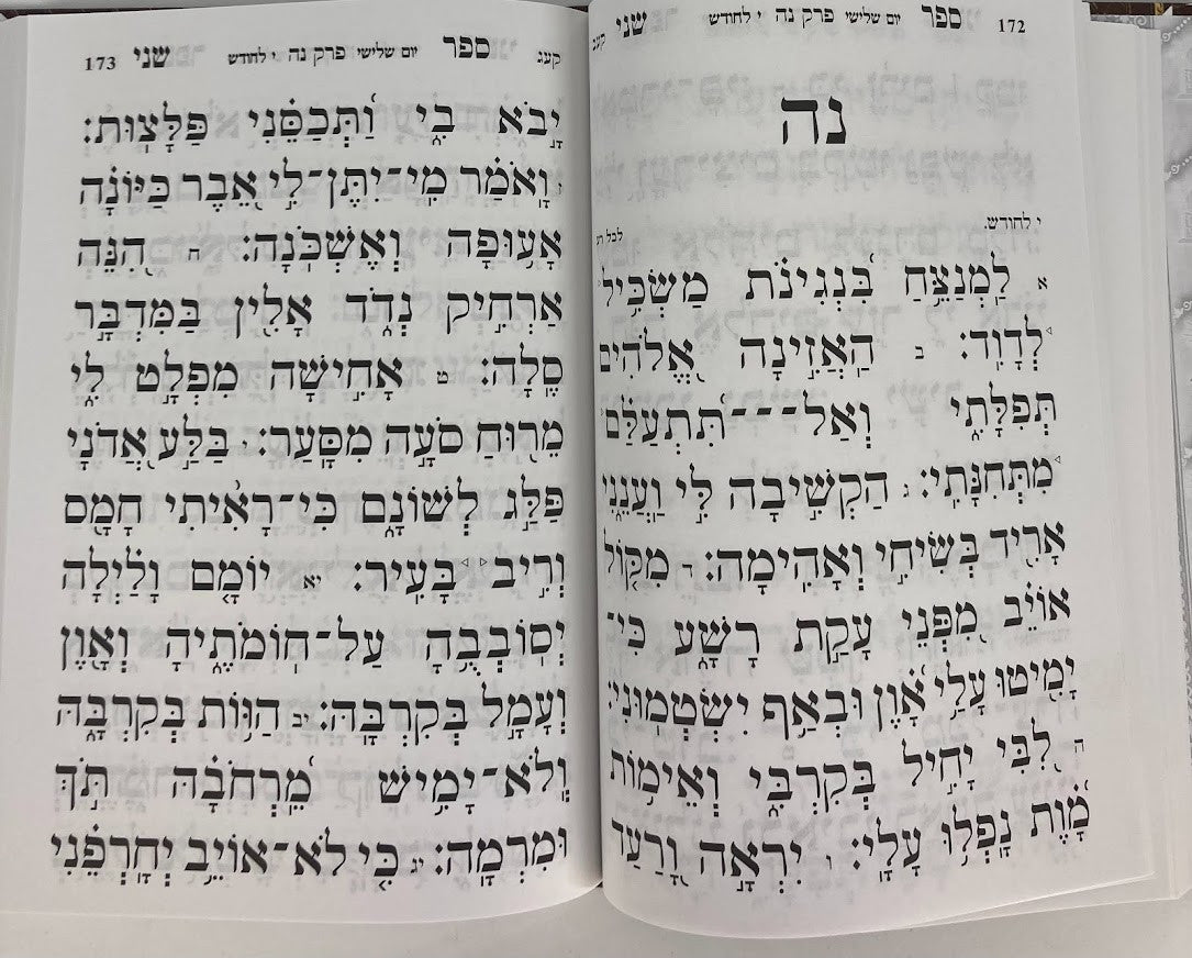 Tehillim Or Hashalom Hebrew תהילים אור השלום Large Letters 7"x9.5" (BK-THOHLG)
