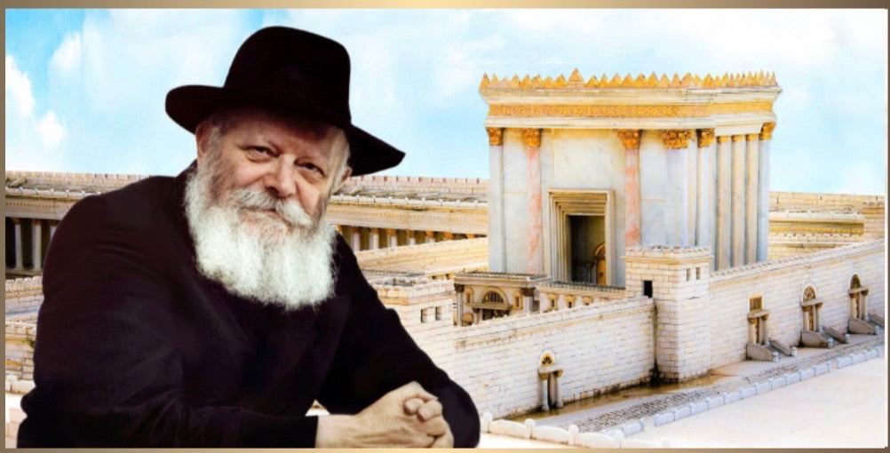 Beis Hamikdash With Lubavitcher Rebbe 20" x 40" - White Frame (J88770W)