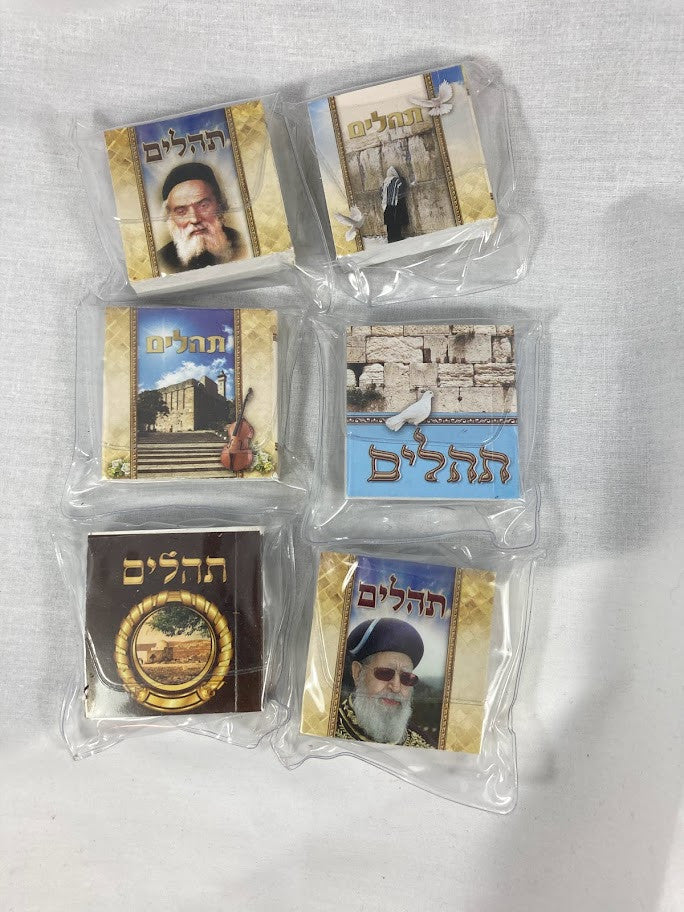 Tehillim Small-Soft Cover-In Bag (BK-THS)