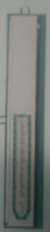 Lulav Holder Plastic (L-LPLB12)