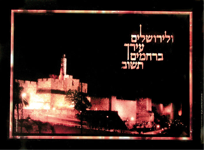 Laminated Poster 20" x 28"-- Yerushalayim (P19)