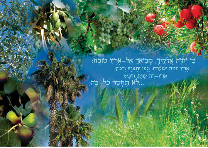 Laminated Poster 20"x 28" -- Shivat Haminim (P608)