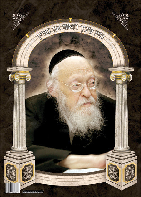 Laminated Poster 20" x 28"-- Rav Elyashiv (P815)