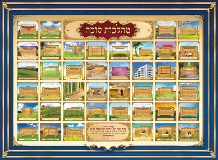 Laminated Poster 16" x 21"-- Hilchot Sukkah (P834-S)