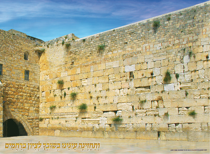 Laminated Poster 20" x 28"-- Kotel (P844)